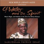 Of water and the Spirit a book by Malidoma Patrice Some
